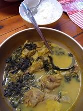 Raiz Tapiocaria Gourmet