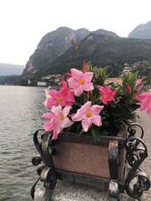Hotel DU LAC