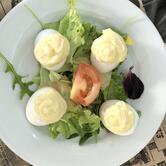 Gamma Café