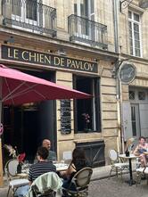 Le Chien de Pavlov