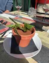 Bistrot Restaurant Antichi Sapori