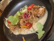 Ibérica