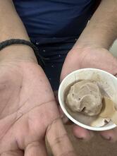 Naturals Ice Cream