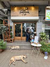 The Fat Labrador Café