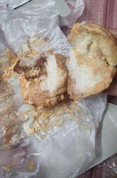 Hunger Lust