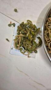 Shivsagar Pure Veg.