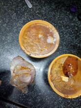 AAHA KITCHENS(PROMISE OF TASTE)