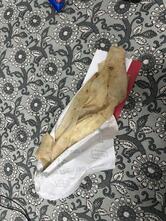 Faasos Salkia Howrah