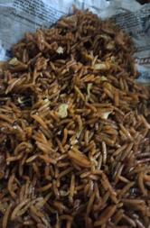 Pandav Fast Food