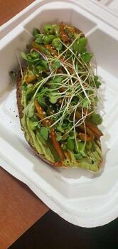 Avolicious