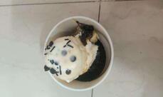 Baskin Robbins - Ice Cream Desserts