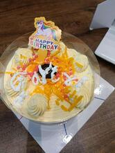 Gourmet Ice Cream Cakes by Baskin Robbins