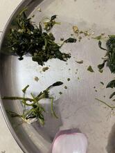 Maratha Veg