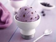 Vadilal Ice Creams