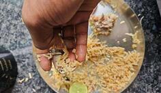 Khan's kitchen
