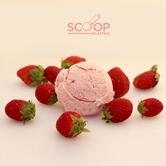 Scoop Gelateria - Premium Italian Icecream