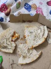 Domnik Pizza