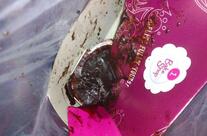 1 Bake Shop