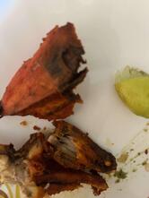 CHAMPARAN VEG NON VEG POINT