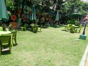 Garden Palace Restaurant