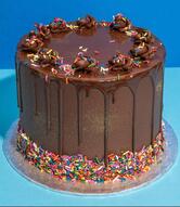 Cakizza Cakes By Gareema
