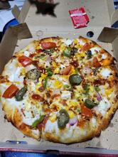 The Square Pizza World