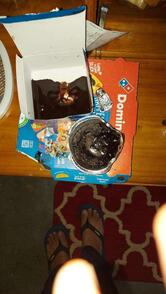 Domino's Pizza Kumarpara Pachali, Guwahati