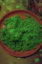 Chickpet Donne Biryani House - Since 1975 JP Nagar