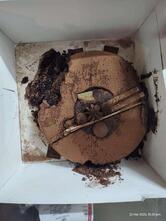 Binge - Bakery And More