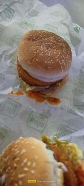 The Burger Company