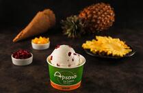 Apsara Ice Creams