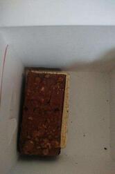 Elgin Cafe Bakery Bistro By Kamdhenu Sweets