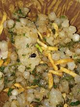 Shri Sawariya Seth Khichdi