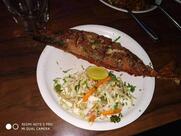 Woodcon Bar And Restaurant