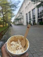 Baskin Robbins - Ice Cream Desserts