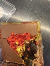 Sugarama Gurgaon