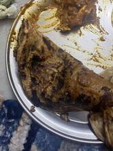 Balaji Restaurant & Caterers