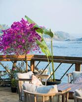 Romeo Lane Goa