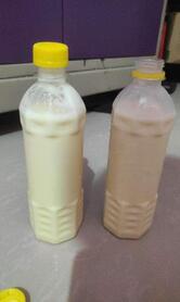 The BIG Falooda