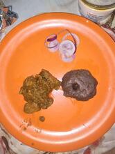 Sdb foods
