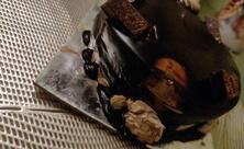 Ranchi Flowers And Cakes
