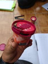 Go Zero - Ice Creams & Desserts