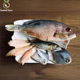 Seashell Spice Betim