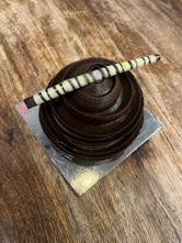HONEY BUNNY PATTISERIE