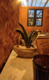 Zeki - Community Bistro + Bar