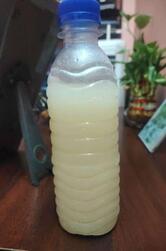 Lassi Cream