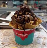 Havmor Havfunn - Anna Nagar