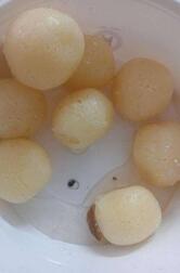 Kanti Sweets