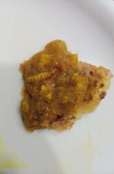 Jalaram Khichdi Centre