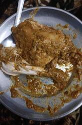 Krishnaz